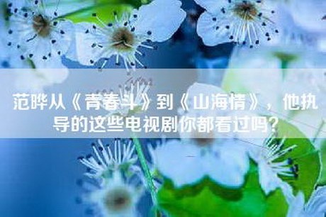 范晔从《青春斗》到《山海情》，他执导的这些电视剧你都看过吗？