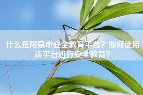 什么是阳泉市安全教育平台？如何使用该平台进行安全教育？