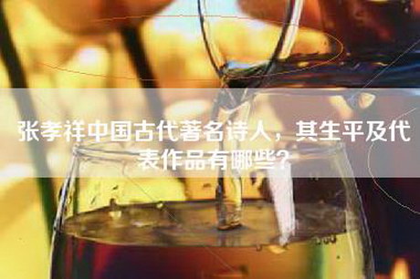 张孝祥中国古代著名诗人，其生平及代表作品有哪些？