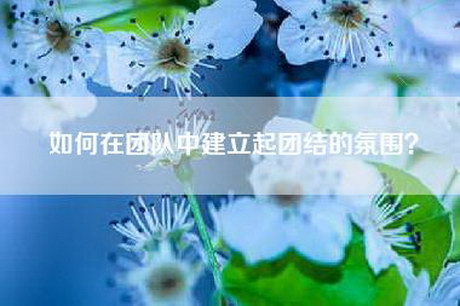 如何在团队中建立起团结的氛围？