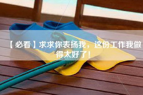 【必看】求求你表扬我，这份工作我做得太好了！