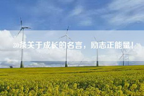30条关于成长的名言，励志正能量！