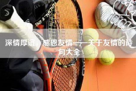 深情厚谊，感恩友情——关于友情的诗句大全