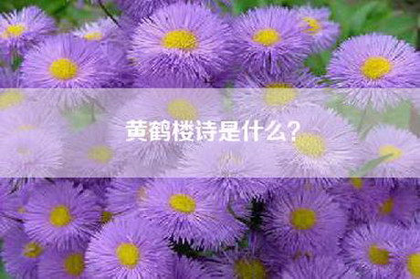 黄鹤楼诗是什么？