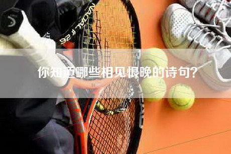 你知道哪些相见恨晚的诗句？