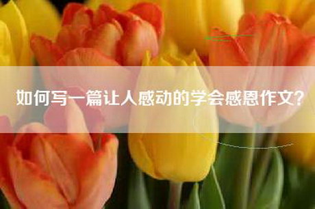 如何写一篇让人感动的学会感恩作文？