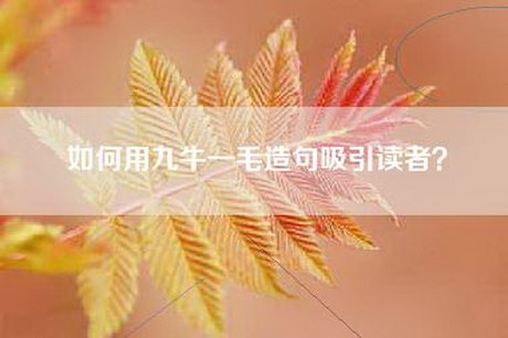 如何用九牛一毛造句吸引读者？