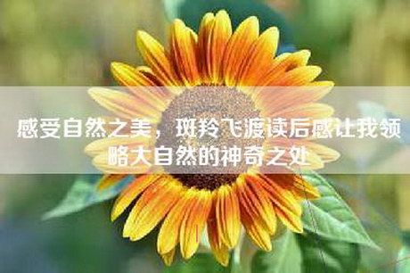 感受自然之美，斑羚飞渡读后感让我领略大自然的神奇之处