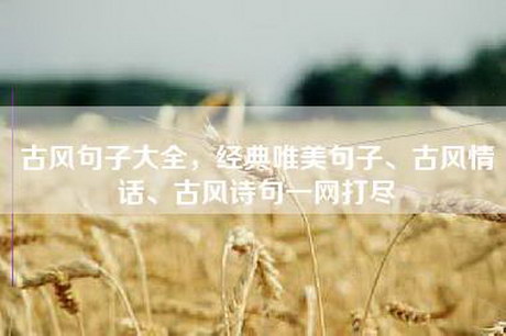 古风句子大全，经典唯美句子、古风情话、古风诗句一网打尽
