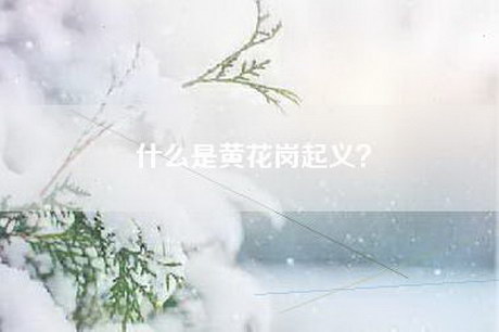 什么是黄花岗起义？