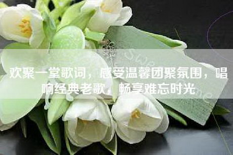 欢聚一堂歌词，感受温馨团聚氛围，唱响经典老歌，畅享难忘时光