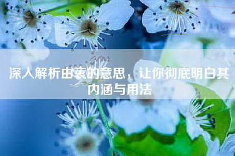 深入解析由衷的意思，让你彻底明白其内涵与用法