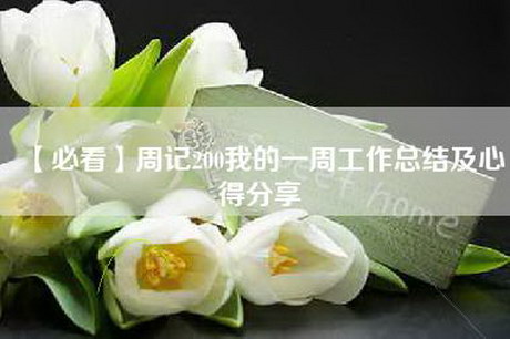 【必看】周记200我的一周工作总结及心得分享