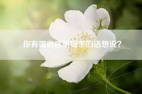 你有哪些感谢母亲的话想说？