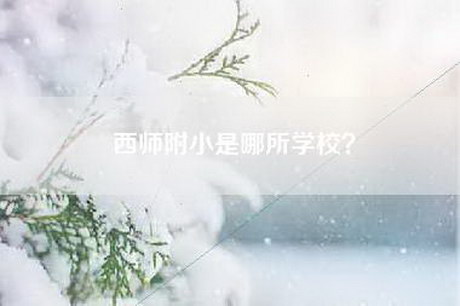 西师附小是哪所学校？