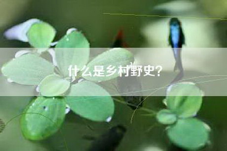 什么是乡村野史？