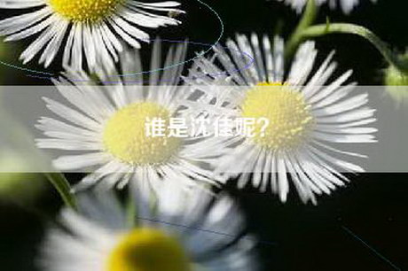 谁是沈佳妮？