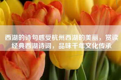 西湖的诗句感受杭州西湖的美丽，赏读经典西湖诗词，品味千年文化传承