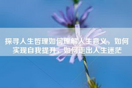 探寻人生哲理如何理解人生意义，如何实现自我提升，如何走出人生迷茫