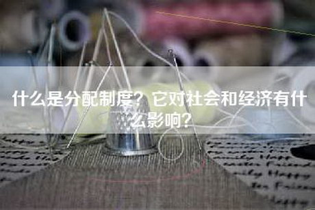 什么是分配制度？它对社会和经济有什么影响？