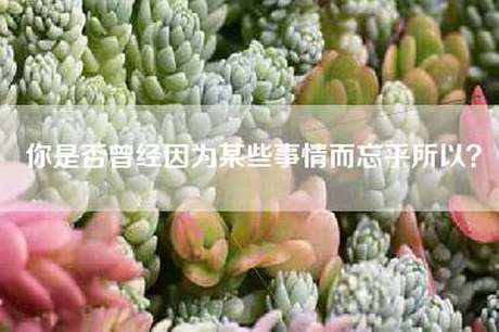 你是否曾经因为某些事情而忘乎所以？