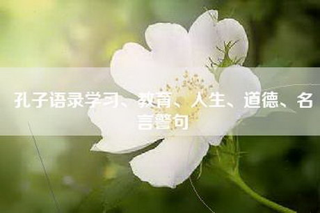 孔子语录学习、教育、人生、道德、名言警句