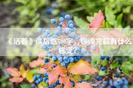 《活着》读后感500字，你读完后有什么感受？