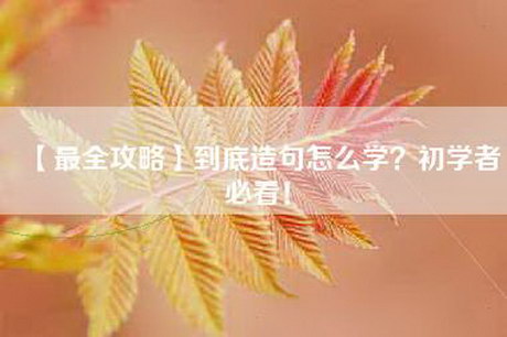 【最全攻略】到底造句怎么学？初学者必看！