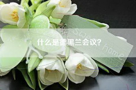 什么是德黑兰会议？