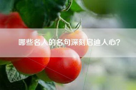 哪些名人的名句深刻启迪人心？