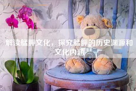 解读艋胛文化，探究艋胛的历史渊源和文化内涵