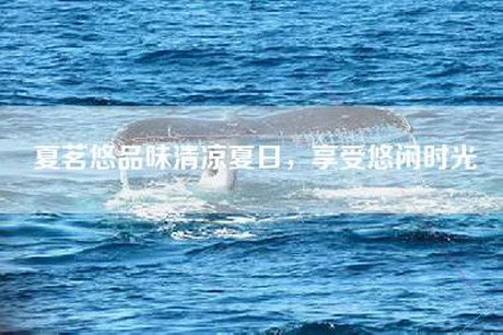 夏茗悠品味清凉夏日，享受悠闲时光