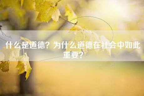 什么是道德？为什么道德在社会中如此重要？