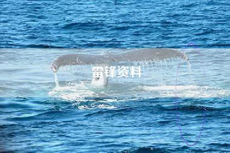雷锋资料