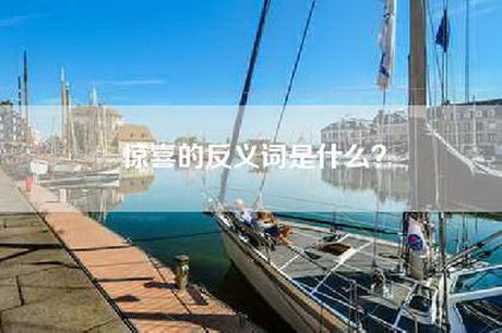 惊喜的反义词是什么？
