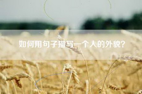如何用句子描写一个人的外貌？