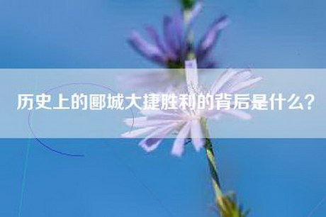 历史上的郾城大捷胜利的背后是什么？