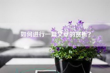 如何进行一篇文章的赏析？