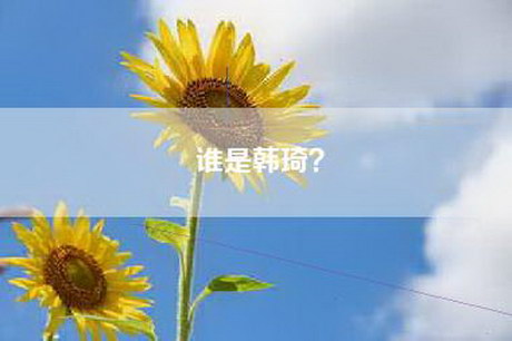 谁是韩琦？