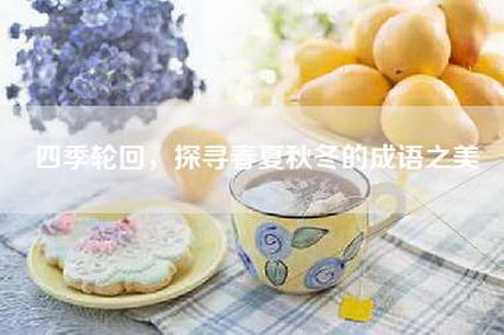 四季轮回，探寻春夏秋冬的成语之美