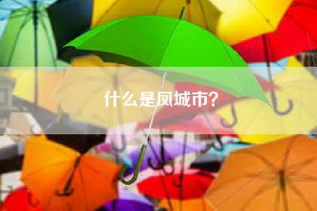 什么是凤城市？