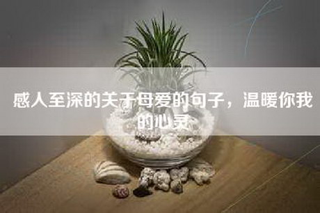 感人至深的关于母爱的句子，温暖你我的心灵