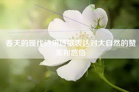 春天的现代诗用诗歌表达对大自然的赞美和感悟