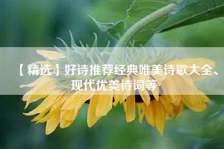 【精选】好诗推荐经典唯美诗歌大全、现代优美诗词等
