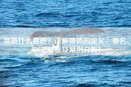 猥亵什么意思？详解猥亵的定义、罪名、刑法解析及案例分析！