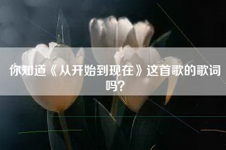 你知道《从开始到现在》这首歌的歌词吗？