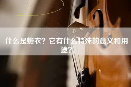 什么是蟾衣？它有什么特殊的意义和用途？
