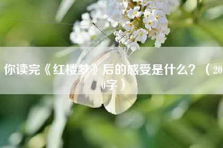 你读完《红楼梦》后的感受是什么？（200字）