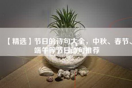 【精选】节日的诗句大全，中秋、春节、端午等节日诗句推荐