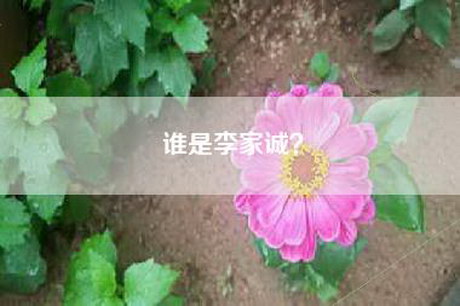 谁是李家诚？
